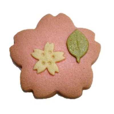 画像5: 卒業入学おめでとうギフト【お祝焼き菓子ギフト】 (5)